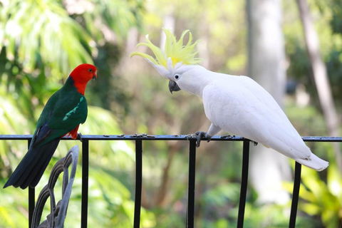 Palm Beach Bed & Breakfast - Accommodation Sydney 4