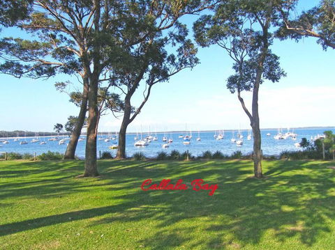 CHAP14C Chapman Cottage - Accommodation Sydney 3