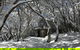 Amber Lodge Mt Buller - Hostel - thumb 2