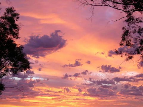 Sunset View Bb Forbes Nsw - Sydney 4u 0