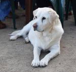 Nazaaray Beach House - Accommodation Sydney