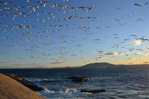 Narooma Motel - Accommodation Sydney 3