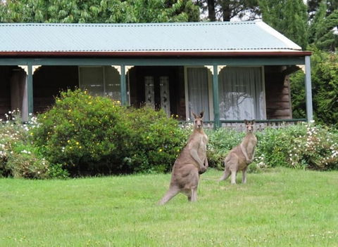 Cedar Lodge Cabins - Sydney 4u 1