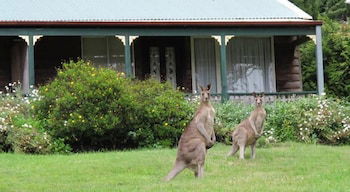 Cedar Lodge Cabins - Sydney 4u 0