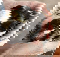 Margaret River Hideaway - Accommodation Sydney