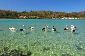 Pacific Royale Penthouse 311 - Accommodation Sydney 4