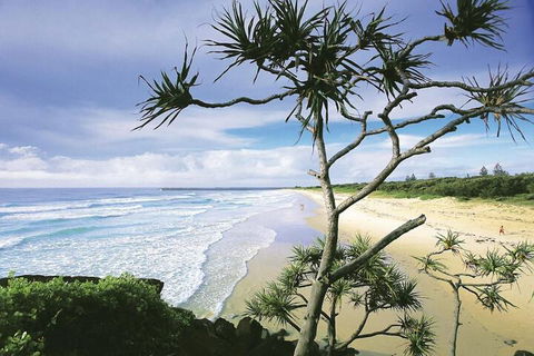 Kenway Lodge - Accommodation Sydney 5