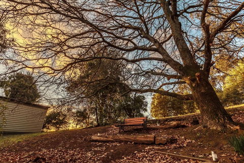 Forest Ave Cottages - Sydney 4u 1