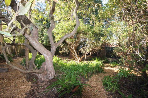 Stonewall Cottage For Two With Fireplace - Accommodation Sydney 2