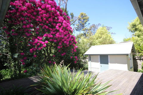 Stonewall Cottage For Two With Fireplace - Accommodation Sydney 5