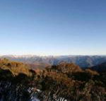 Elkhorn 7 - Accommodation Sydney