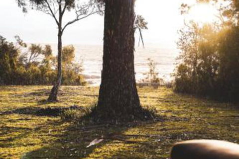 Seagrass On Sunset Bay - Sydney Resort 1