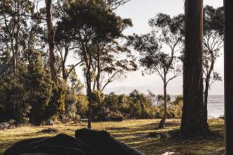 Seagrass On Sunset Bay - Sydney Resort 2