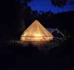 Glamping at Zeehan Bush Camp - Accommodation Sydney