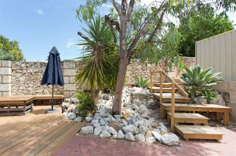 Dingo At White Gum Lodge - Sydney 4u 4