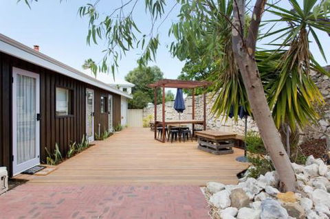 Dingo At White Gum Lodge - Sydney 4u 2