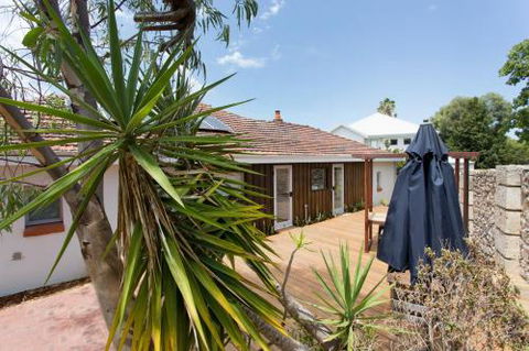 Dingo At White Gum Lodge - Sydney 4u 5