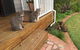 Comfortable Queen Sized Room Near Tuggerah Lake - thumb 4
