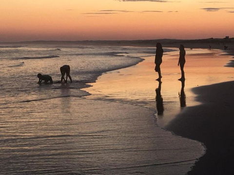Cromarty Cottage 900m From Birubi Beach - Accommodation Sydney 6