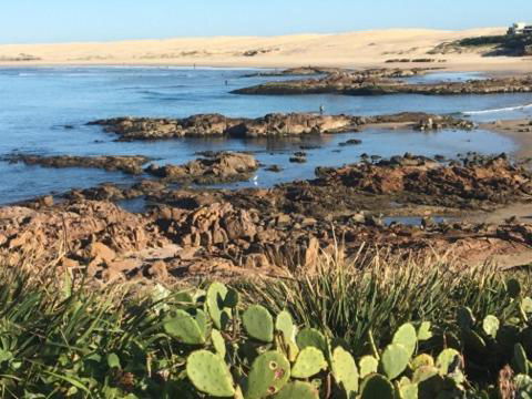 Cromarty Cottage 900m From Birubi Beach - Accommodation Sydney 4