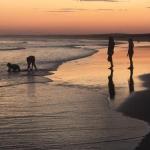 Cromarty Cottage 900m From Birubi Beach - Accommodation Sydney 0