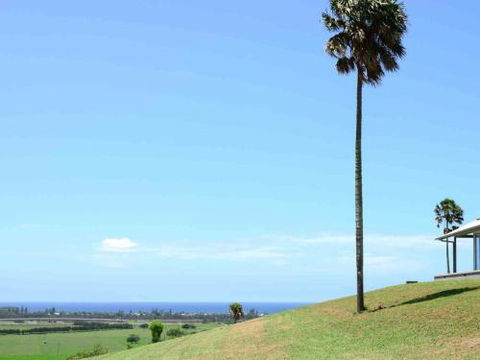 ROSE VALLEY Gerringong 4pm Check Out Sundays - Accommodation Sydney 0