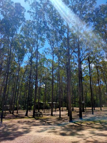 Lakes Entrance Log Cabins - Sydney 4u 1