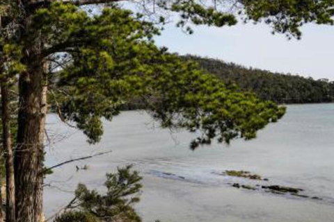 Rockpool Cottage - Sydney Resort 4