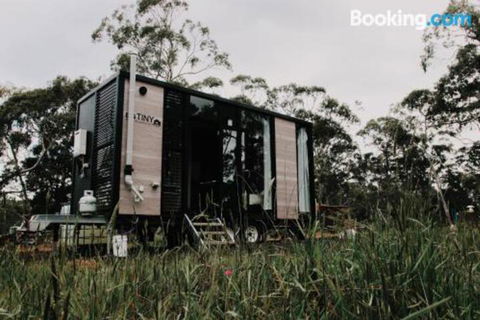 Blackwood Tiny - Sydney 4u 1