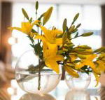KUI Manhattan Apartments - Accommodation Sydney