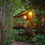 Wildwood - Sydney 4u 0