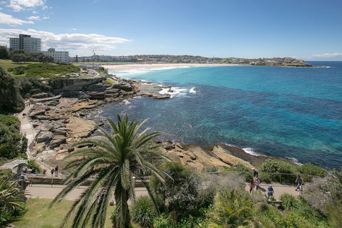 Ultimate Bondi Escape - Accommodation Sydney 4