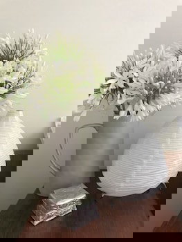 Beautiful Cottage, Ocean Views, Amazing Gardens, 12 Minute Walk To Beach - Sydney Resort 0