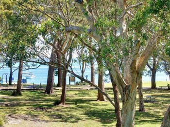 Nicholli Bay Parklands Unit 32 2 Gowrie Avenue - Accommodation Sydney 3