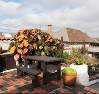 Clovelly Beach Cottage H372 - Accommodation Sydney