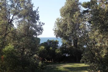 Uringah Rejuvenate Stays - Accommodation Sydney 6