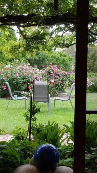 Wisteria Lodge - Accommodation Sydney 5