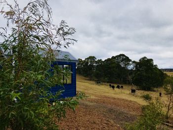 In2thewild Walden - Sydney 4u 4
