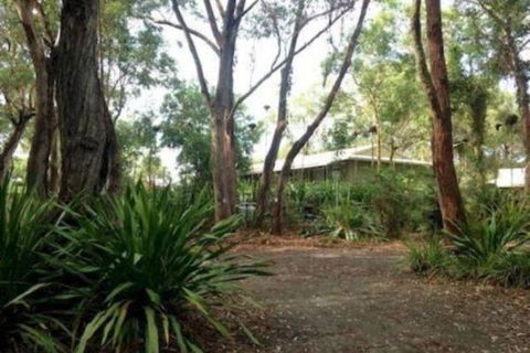 Port Stephens Koala Sanctuary - Accommodation Sydney 2