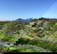 The Bryn At Tilba Family Cottage - Accommodation Sydney