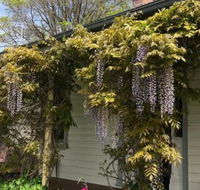 Clarence Cottage - Accommodation Sydney