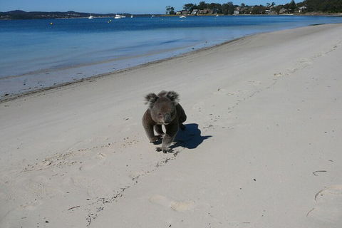 The Mitchells Waterfront Bed & Breakfast - Accommodation Sydney 7