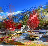 Beechworth Lake Sambell Caravan Park - Accommodation Sydney