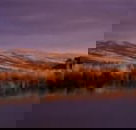 Wombat Hills Cottages - Accommodation Sydney