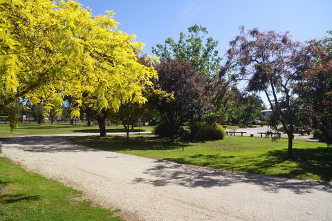 All Seasons Mansfield - Accommodation Sydney 5