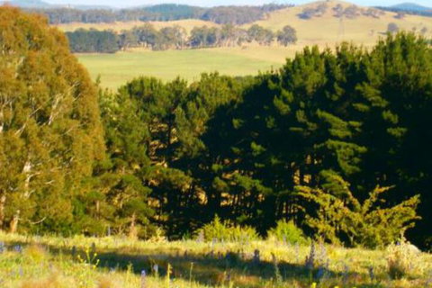 Highlands Motor Inn - Accommodation Sydney 4