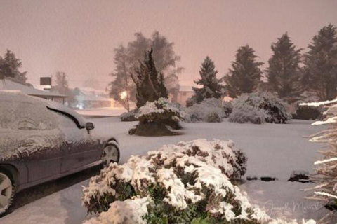 Highlands Motor Inn - Accommodation Sydney 7