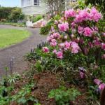  Accommodation Sydney