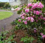 Anabels of Scottsdale - Accommodation Sydney