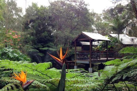 The Oasis At One Mile Beach - Accommodation Sydney 2